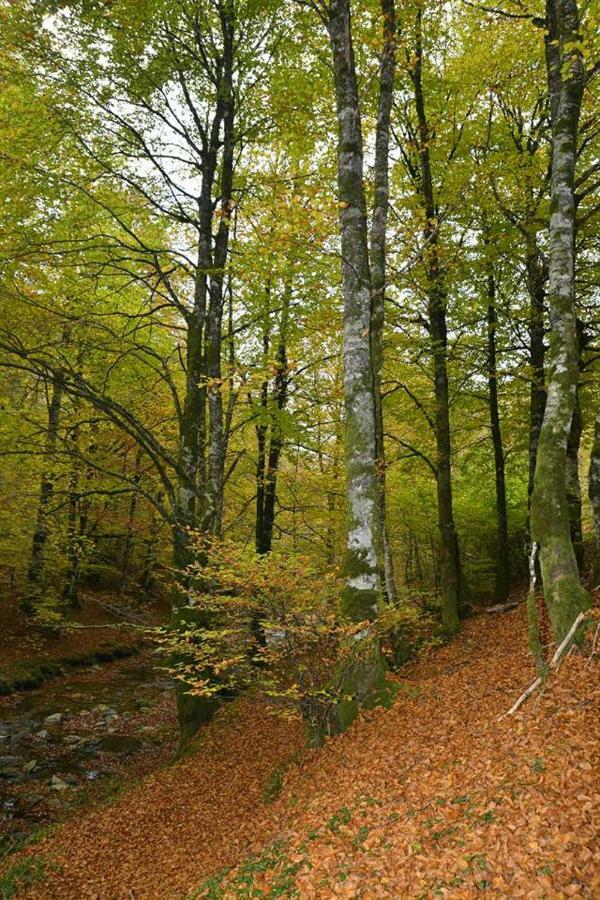 Casa Artegia Pension Mezkiriz Buitenkant foto